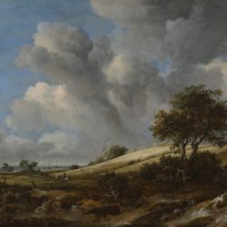 Landscape with a corn field near the sea